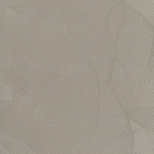 Фасад кухонный МДФ Пленка Глобус шампань 5537 размер 200x200 мм